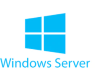 Logo Windows Server