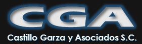 Logo de Castillo Garza y Asociados 